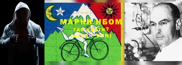 PSILOCYBIN Бронницы