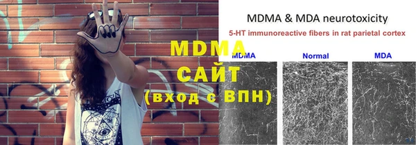 mdpv Богданович
