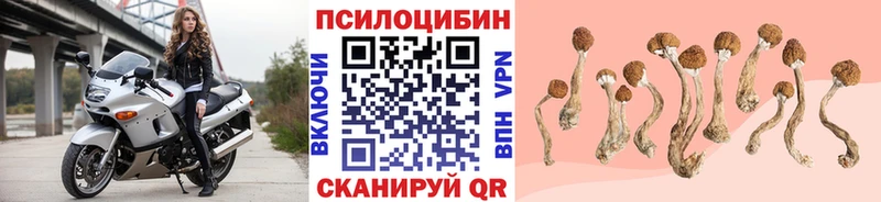 купить наркотик Козельск мориарти какой сайт Псилоцибиновые грибы Psilocybe